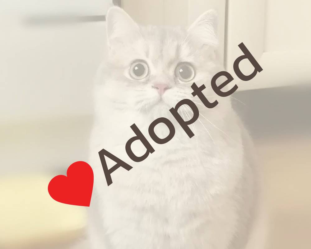 luxury picnic company - Picnic Makers luxury picnic company - Picnic Makers