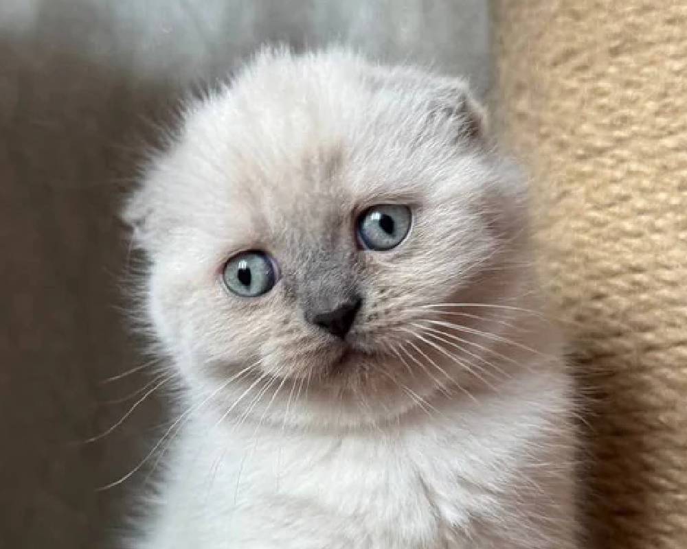 luxury picnic company - Picnic Makers