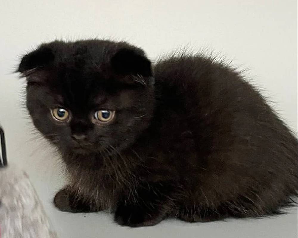 luxury picnic company - Picnic Makers