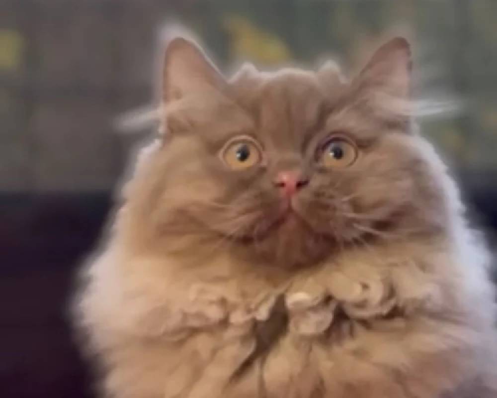 luxury picnic company - Picnic Makers