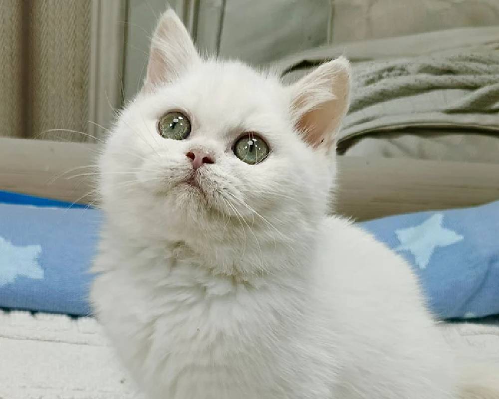 luxury picnic company - Picnic Makers