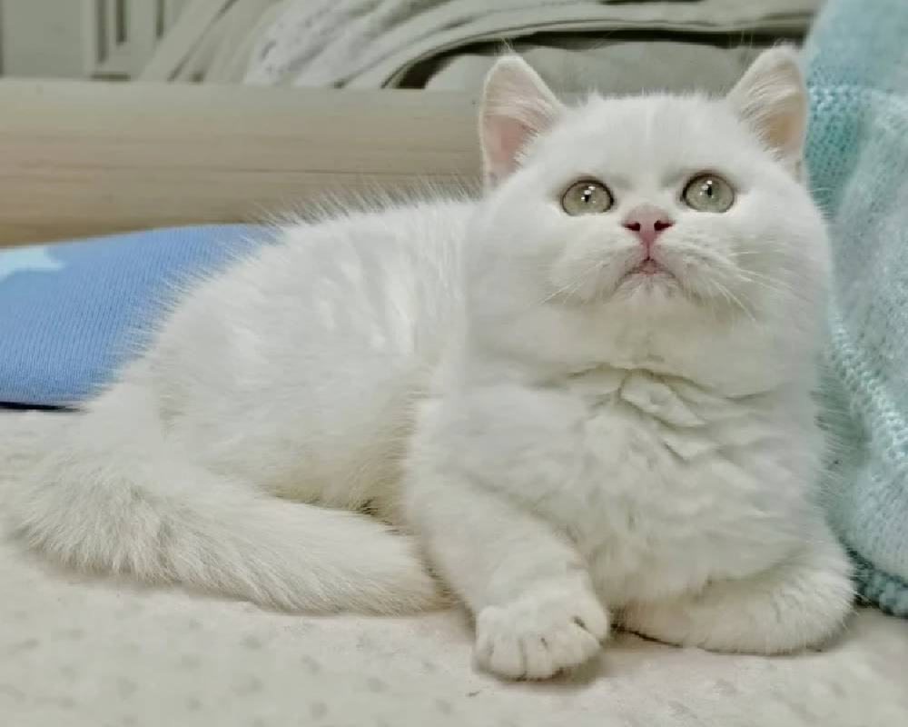 luxury picnic company - Picnic Makers