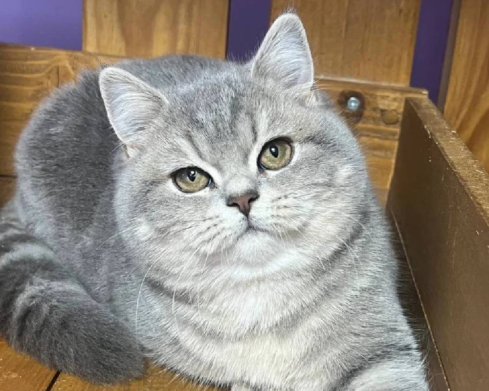 luxury picnic company - Picnic Makers