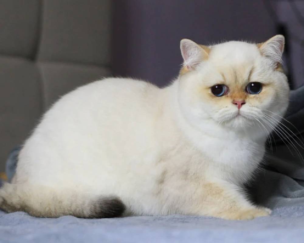 luxury picnic company - Picnic Makers luxury picnic company - Picnic Makers