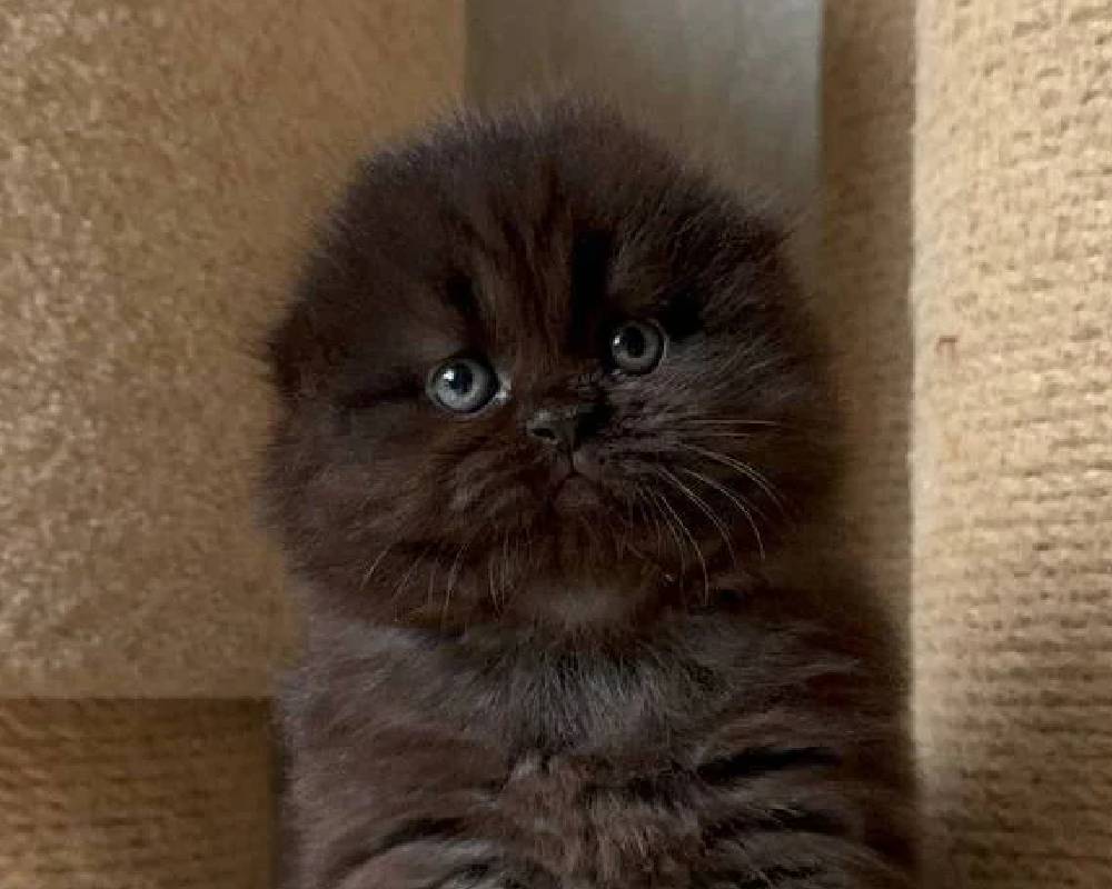 luxury picnic company - Picnic Makers