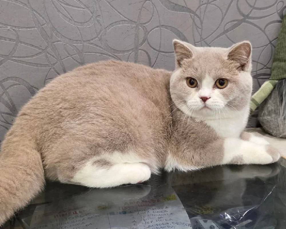 luxury picnic company - Picnic Makers luxury picnic company - Picnic Makers