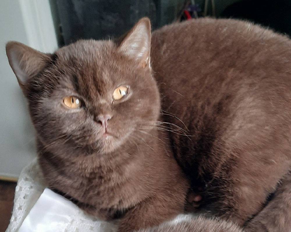 luxury picnic company - Picnic Makers