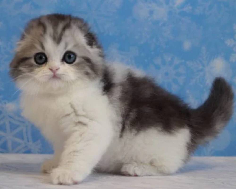 luxury picnic company - Picnic Makers