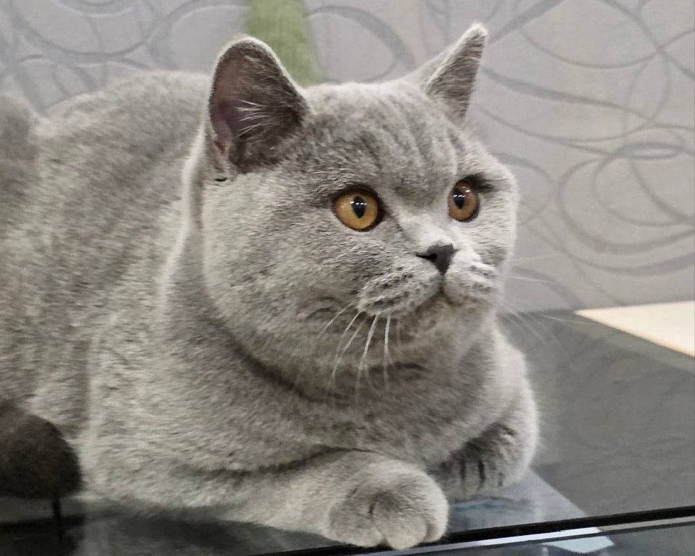 luxury picnic company - Picnic Makers