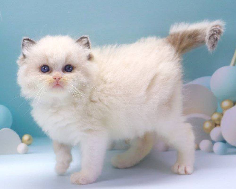 luxury picnic company - Picnic Makers