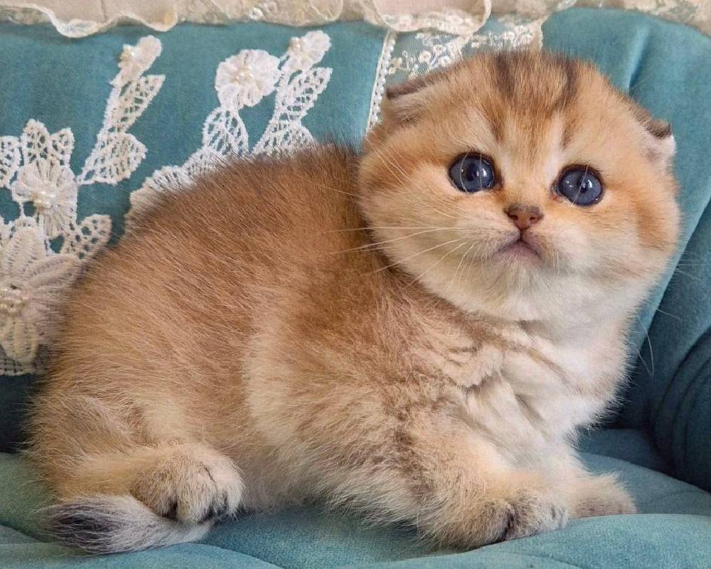 luxury picnic company - Picnic Makers