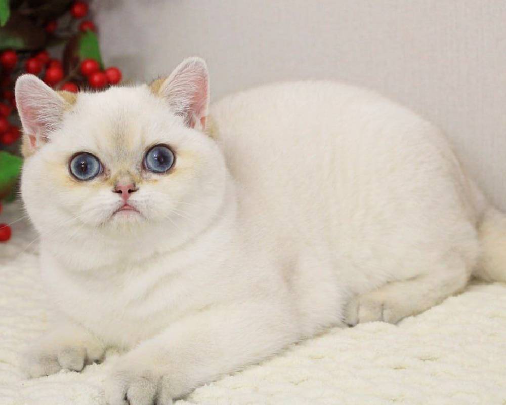 luxury picnic company - Picnic Makers