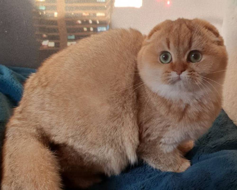 luxury picnic company - Picnic Makers