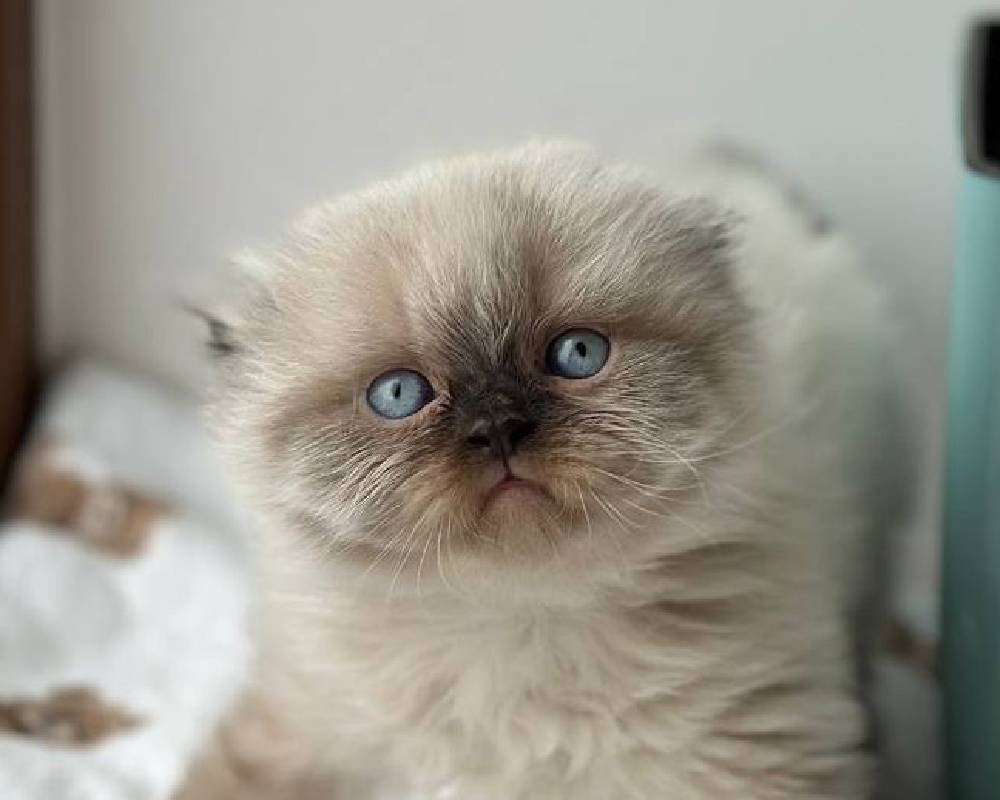 luxury picnic company - Picnic Makers