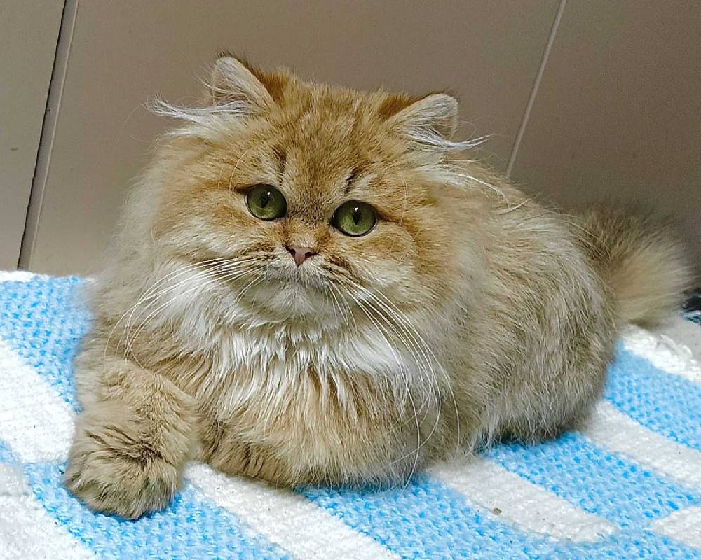 luxury picnic company - Picnic Makers