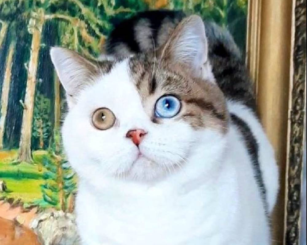 luxury picnic company - Picnic Makers