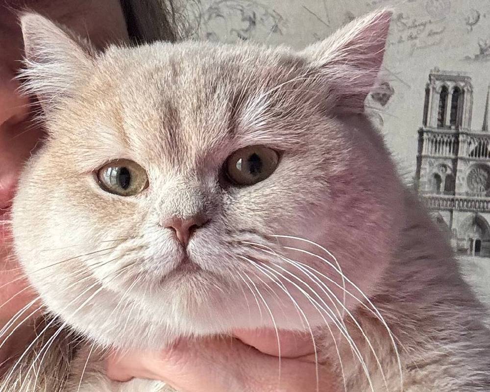 luxury picnic company - Picnic Makers