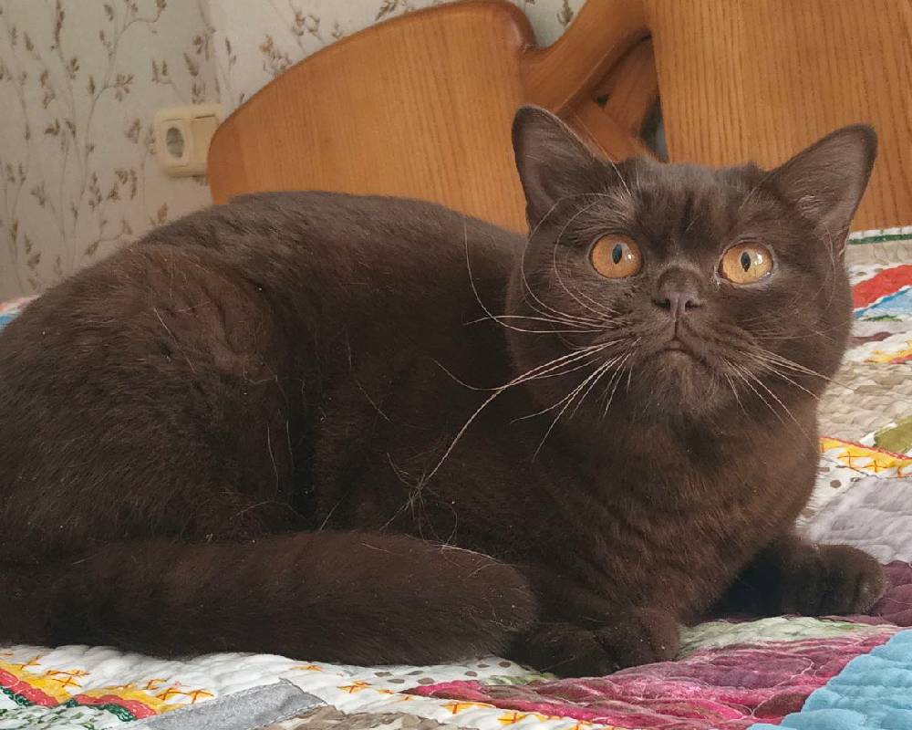 luxury picnic company - Picnic Makers