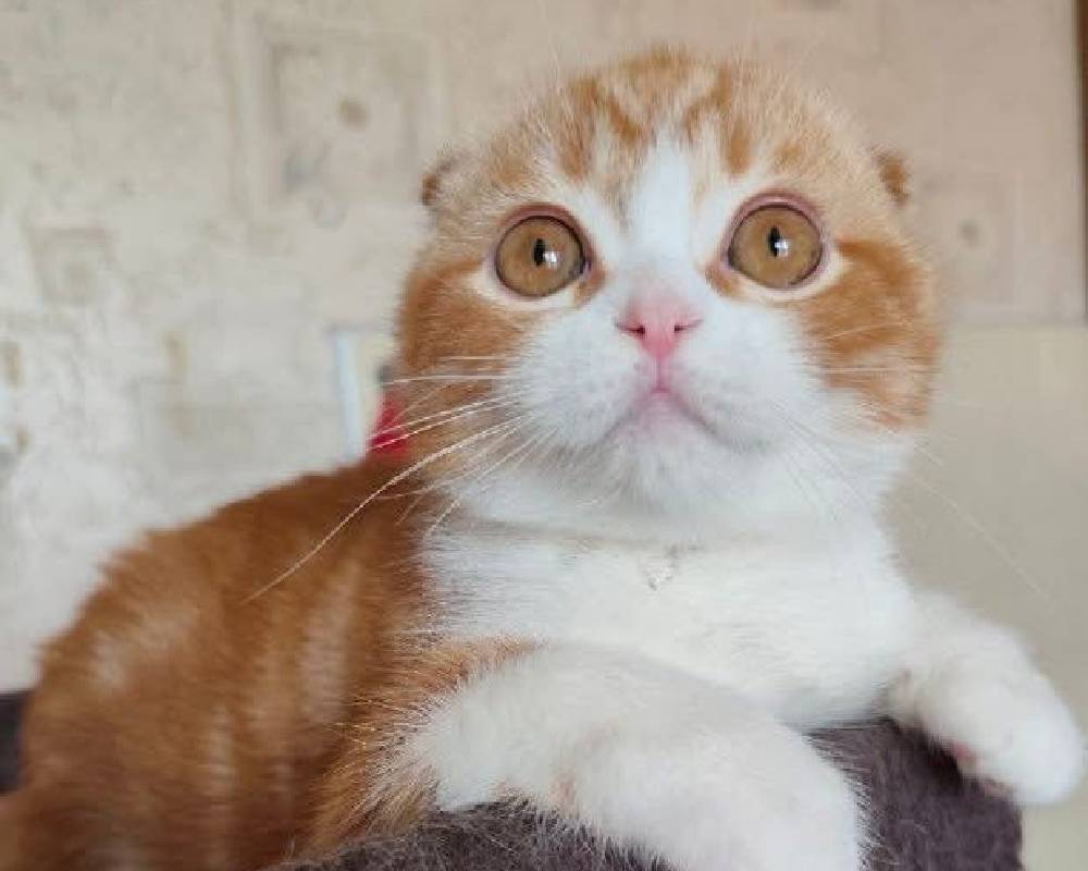 luxury picnic company - Picnic Makers