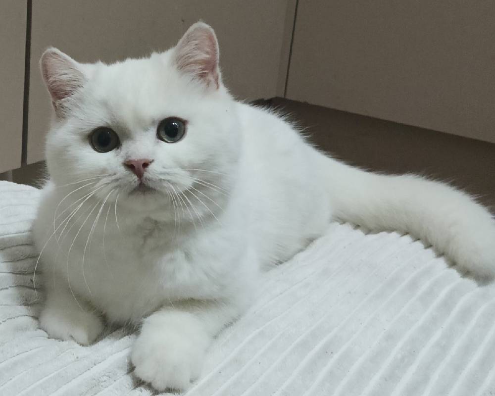 luxury picnic company - Picnic Makers