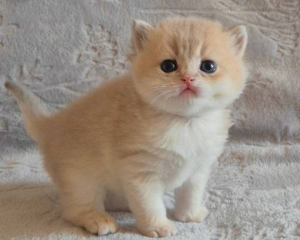 luxury picnic company - Picnic Makers