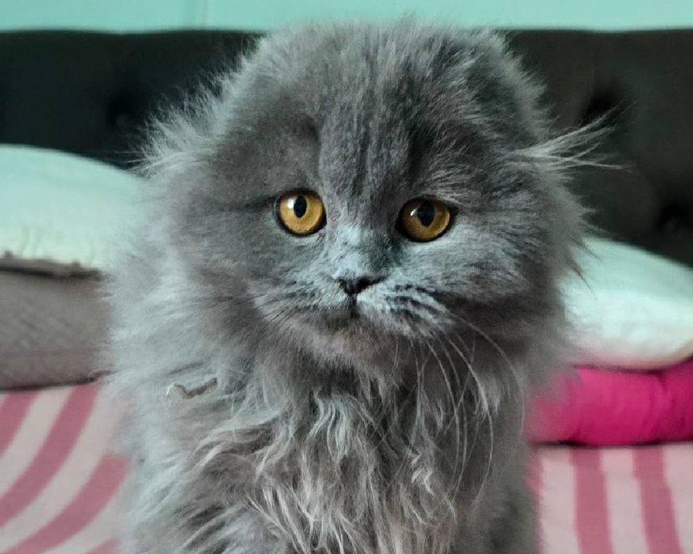 luxury picnic company - Picnic Makers