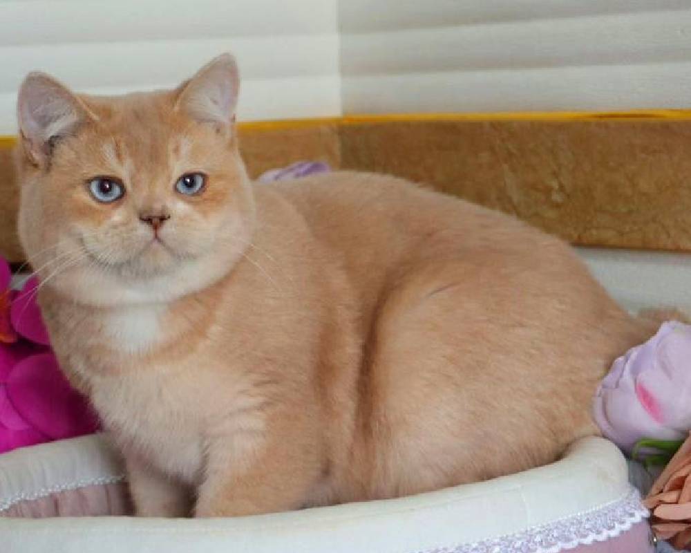 luxury picnic company - Picnic Makers