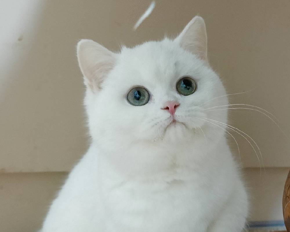 luxury picnic company - Picnic Makers