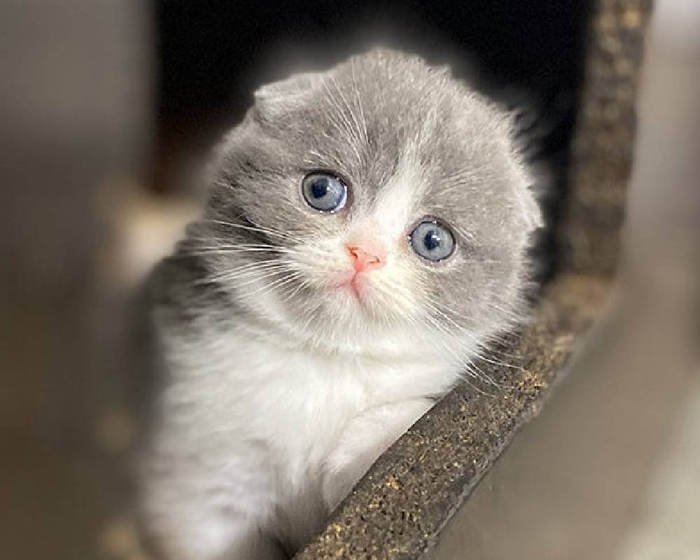 luxury picnic company - Picnic Makers