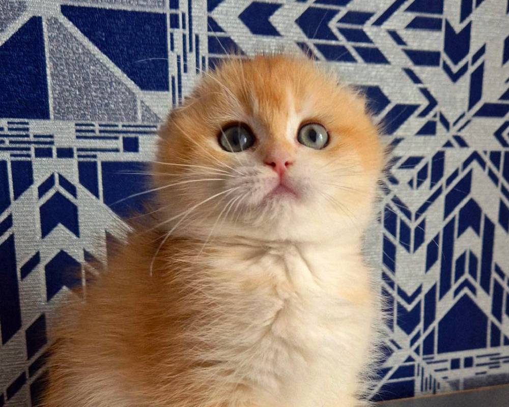 luxury picnic company - Picnic Makers