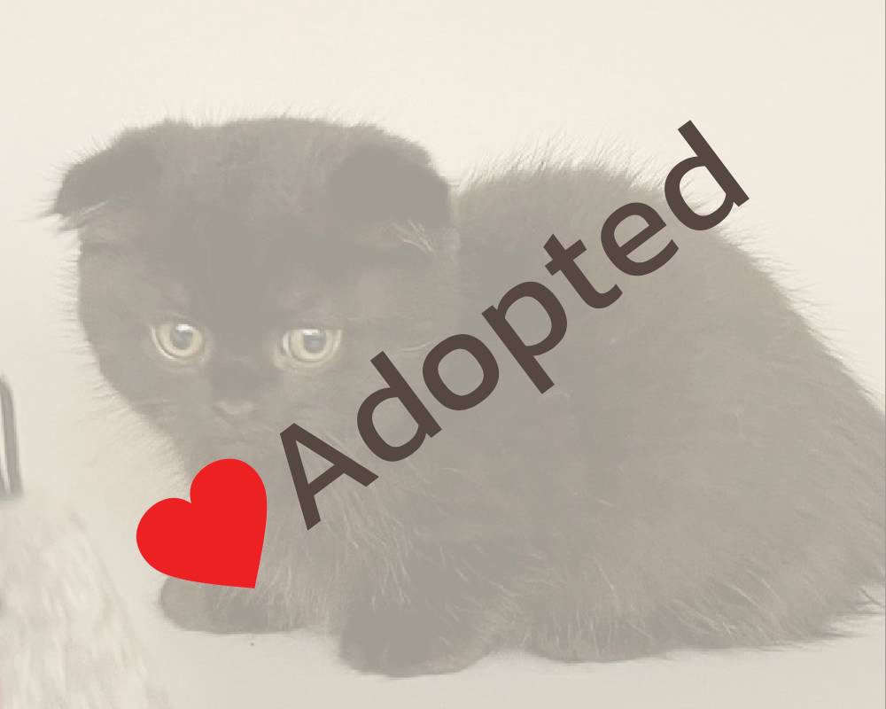 luxury picnic company - Picnic Makers luxury picnic company - Picnic Makers