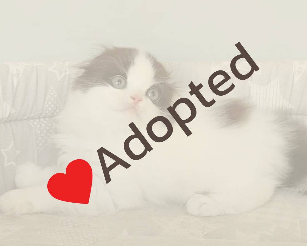 luxury picnic company - Picnic Makers