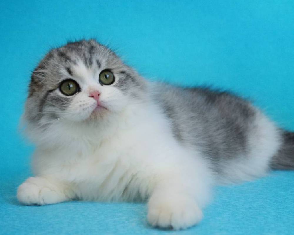 luxury picnic company - Picnic Makers