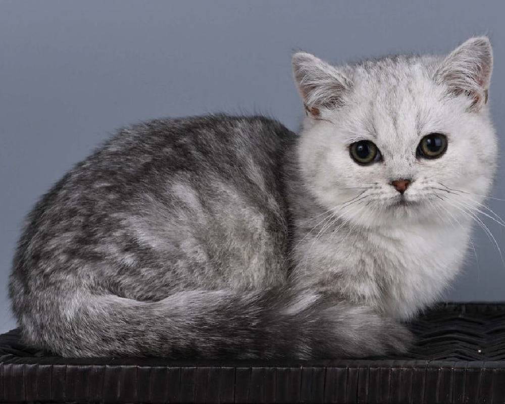 luxury picnic company - Picnic Makers