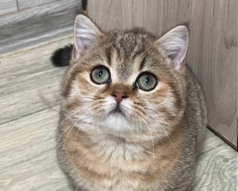 luxury picnic company - Picnic Makers