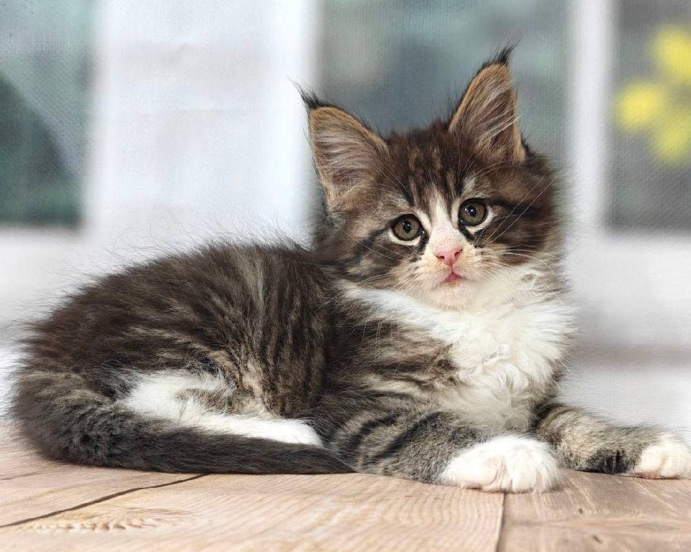 luxury picnic company - Picnic Makers