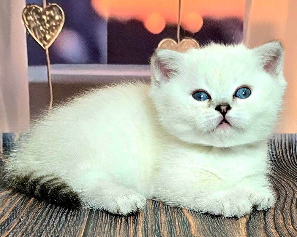 luxury picnic company - Picnic Makers