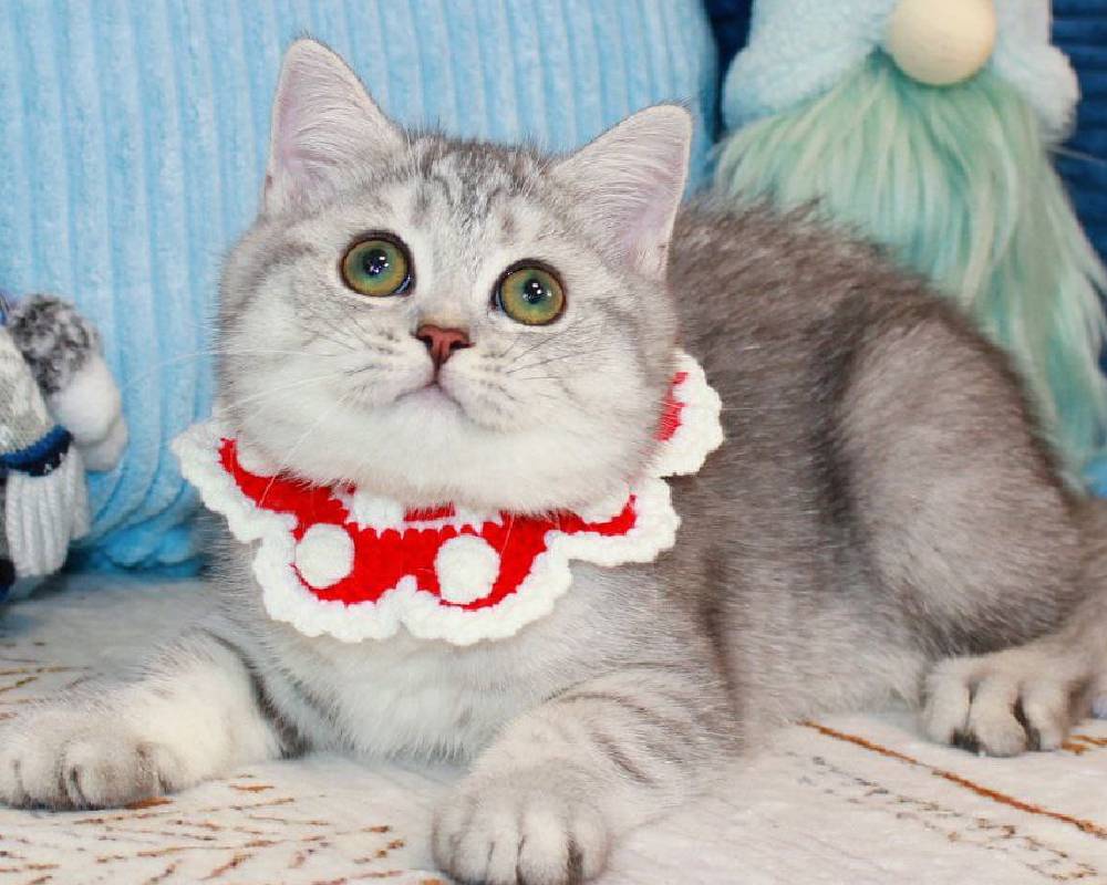 luxury picnic company - Picnic Makers