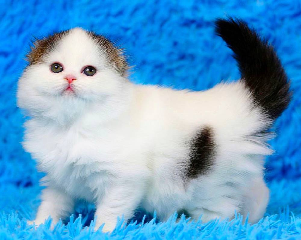 luxury picnic company - Picnic Makers