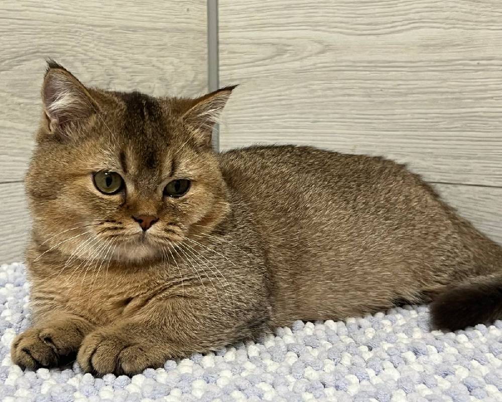 luxury picnic company - Picnic Makers