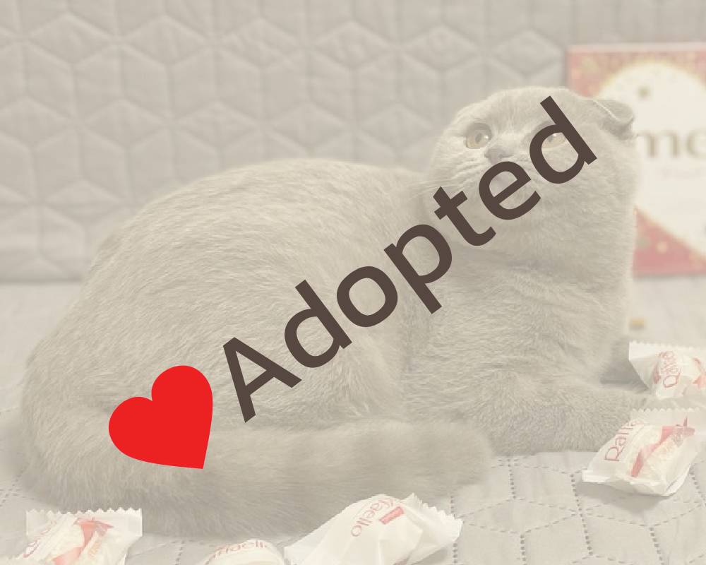 luxury picnic company - Picnic Makers