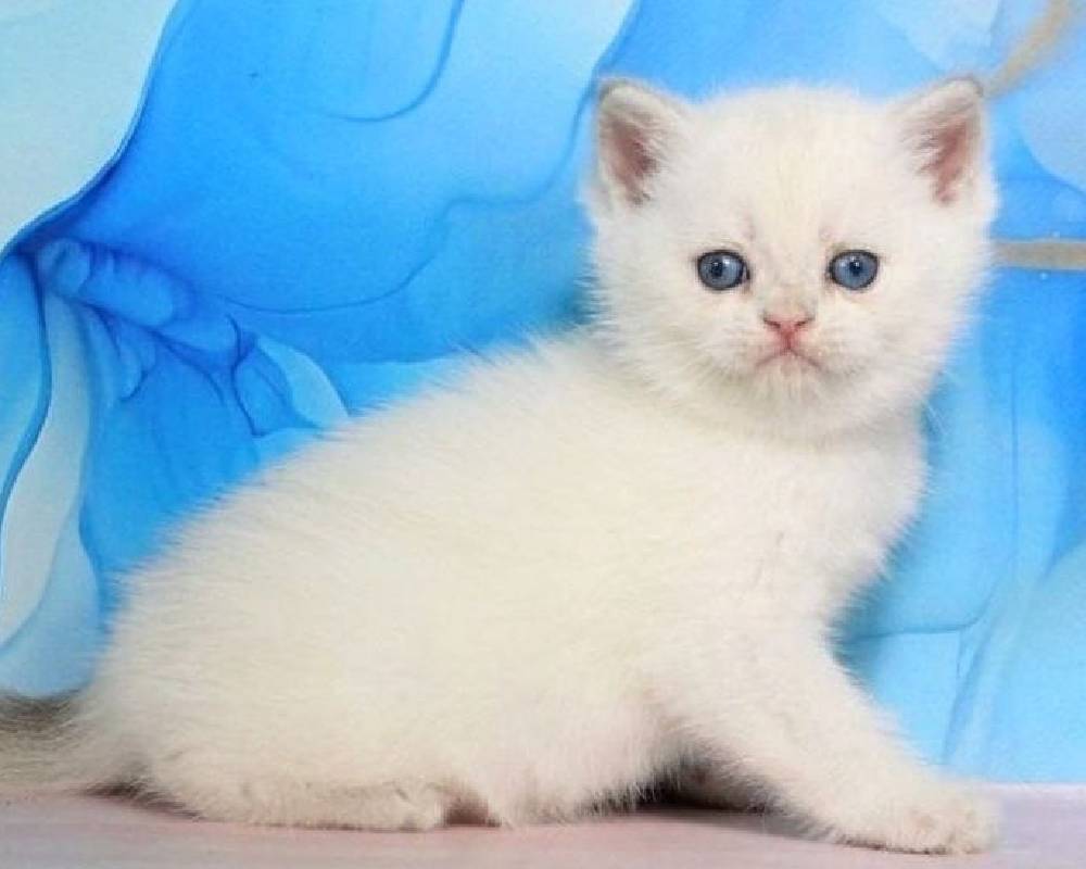 luxury picnic company - Picnic Makers