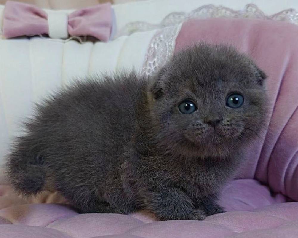 luxury picnic company - Picnic Makers