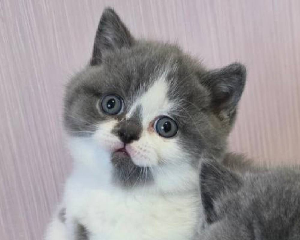 luxury picnic company - Picnic Makers