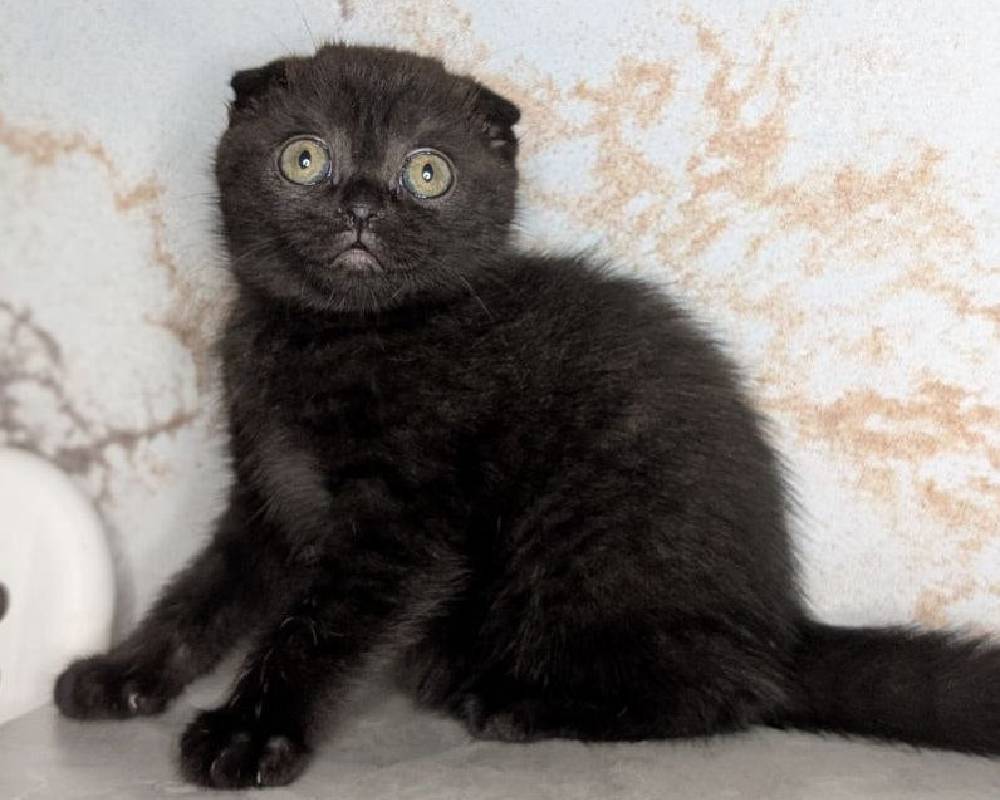 luxury picnic company - Picnic Makers