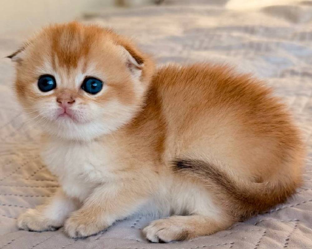 luxury picnic company - Picnic Makers