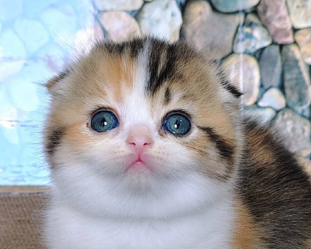 luxury picnic company - Picnic Makers