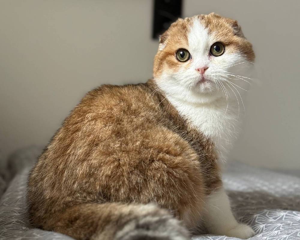 luxury picnic company - Picnic Makers