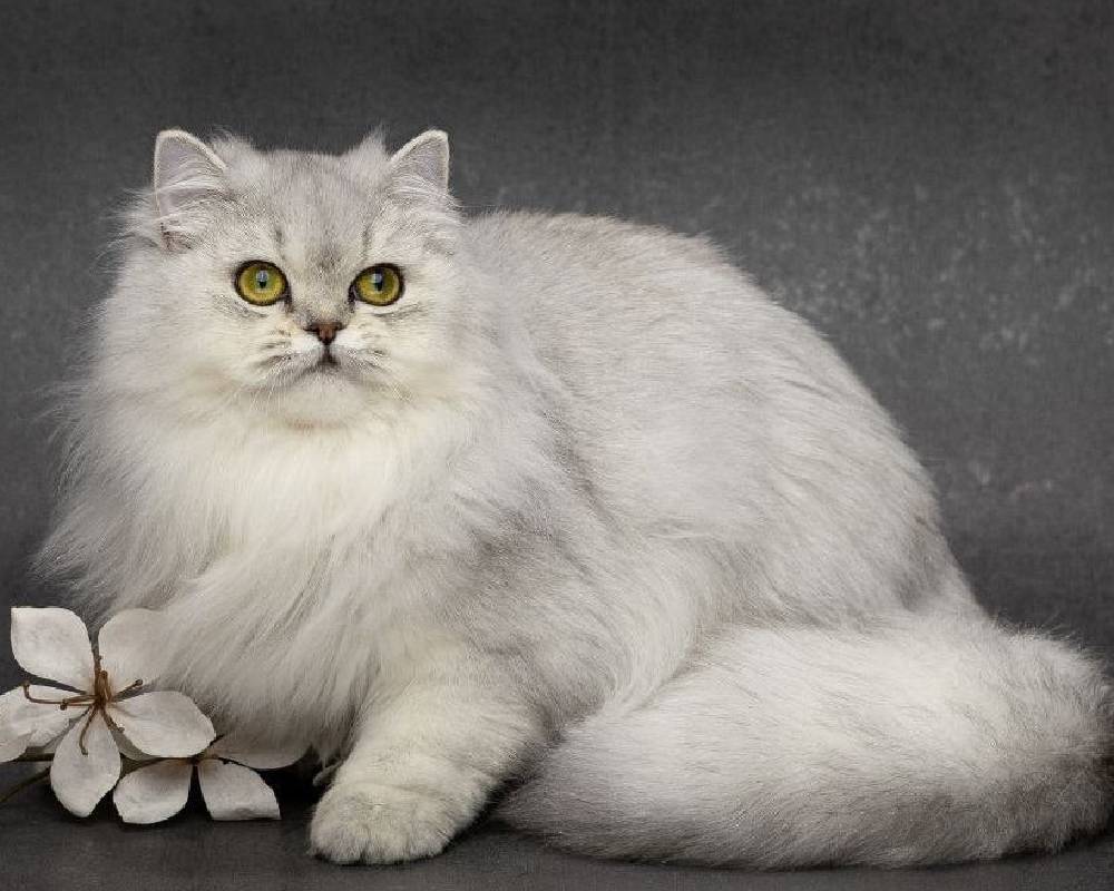 luxury picnic company - Picnic Makers